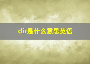 dir是什么意思英语