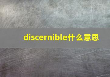 discernible什么意思