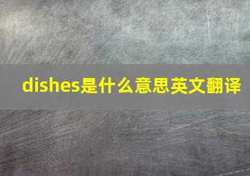 dishes是什么意思英文翻译