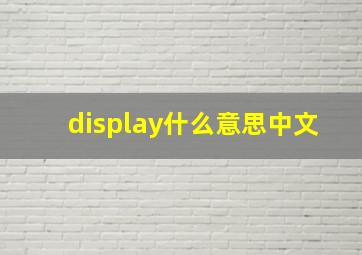 display什么意思中文