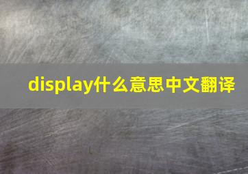 display什么意思中文翻译