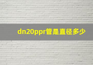 dn20ppr管是直径多少