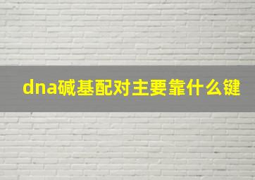 dna碱基配对主要靠什么键