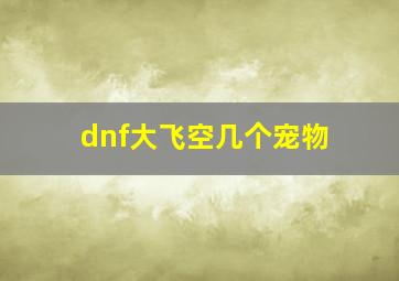 dnf大飞空几个宠物