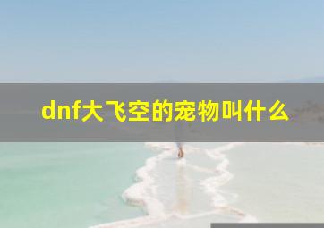 dnf大飞空的宠物叫什么