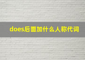 does后面加什么人称代词