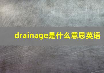 drainage是什么意思英语