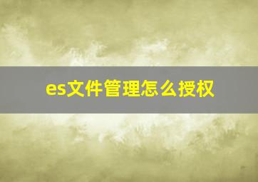 es文件管理怎么授权