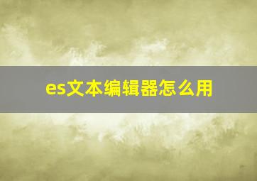 es文本编辑器怎么用