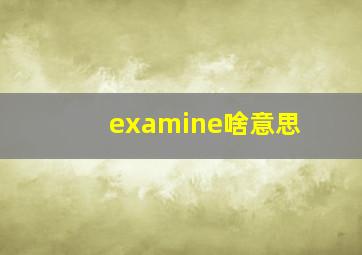 examine啥意思