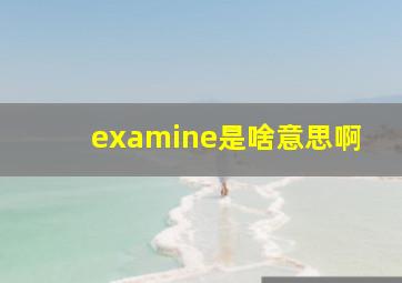 examine是啥意思啊