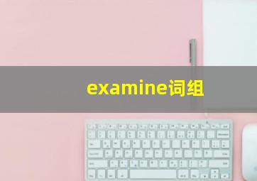 examine词组