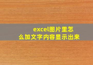 excel图片里怎么加文字内容显示出来