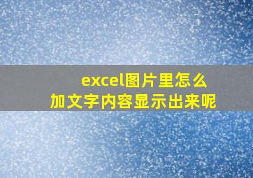 excel图片里怎么加文字内容显示出来呢