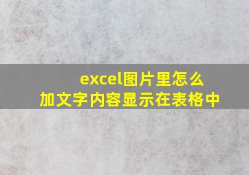 excel图片里怎么加文字内容显示在表格中