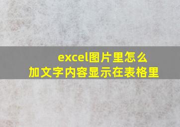 excel图片里怎么加文字内容显示在表格里