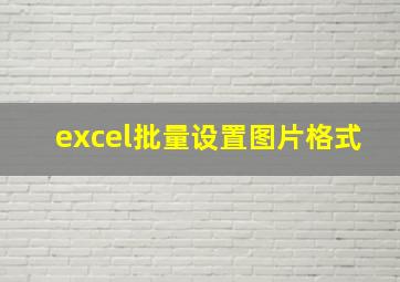 excel批量设置图片格式