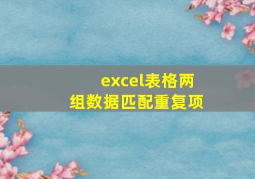 excel表格两组数据匹配重复项