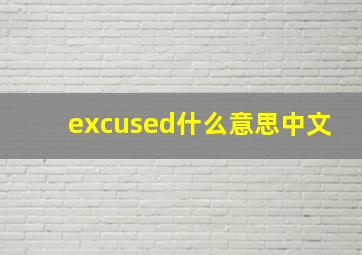 excused什么意思中文