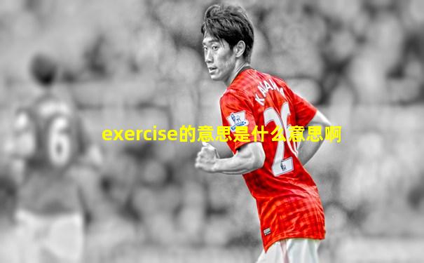 exercise的意思是什么意思啊