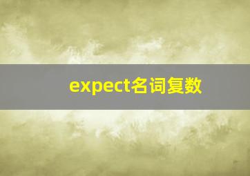 expect名词复数