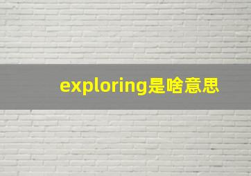 exploring是啥意思