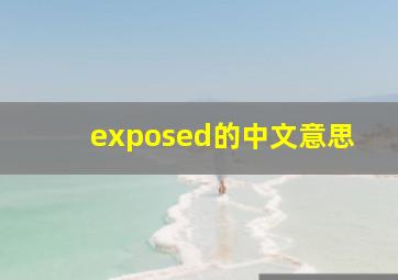 exposed的中文意思