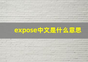 expose中文是什么意思