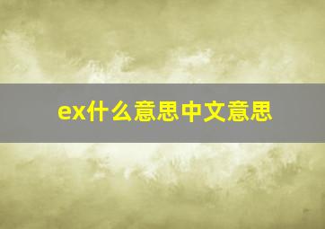 ex什么意思中文意思