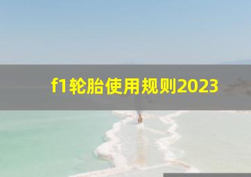 f1轮胎使用规则2023