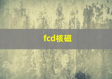 fcd核磁