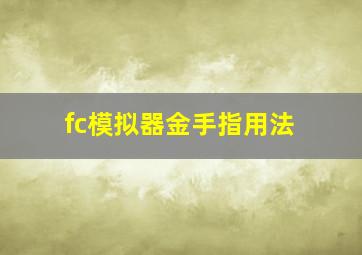 fc模拟器金手指用法