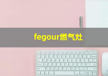 fegour燃气灶