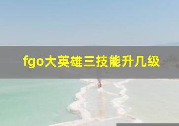 fgo大英雄三技能升几级