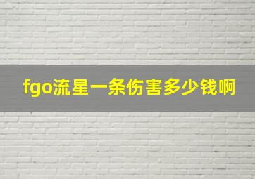 fgo流星一条伤害多少钱啊