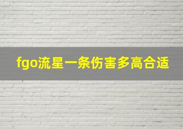 fgo流星一条伤害多高合适