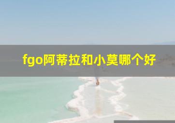 fgo阿蒂拉和小莫哪个好