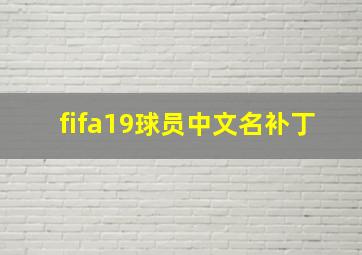 fifa19球员中文名补丁