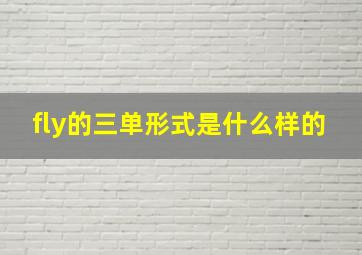 fly的三单形式是什么样的