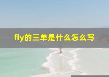 fly的三单是什么怎么写