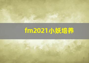 fm2021小妖培养