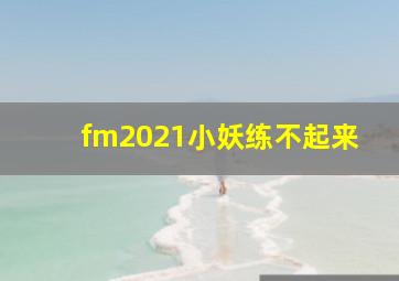 fm2021小妖练不起来