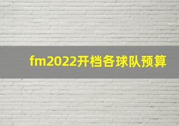 fm2022开档各球队预算