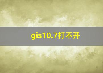 gis10.7打不开