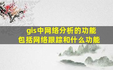 gis中网络分析的功能包括网络跟踪和什么功能