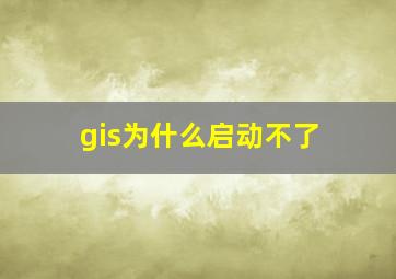 gis为什么启动不了