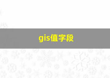 gis值字段