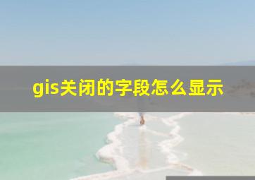 gis关闭的字段怎么显示