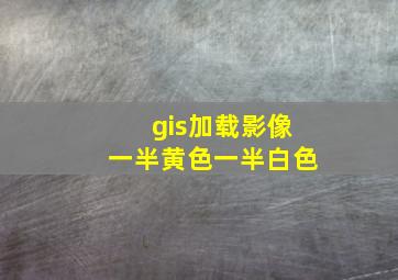 gis加载影像一半黄色一半白色