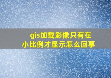 gis加载影像只有在小比例才显示怎么回事